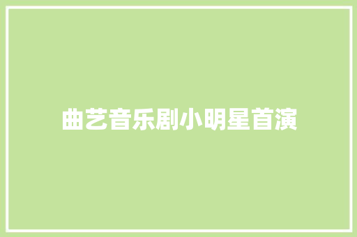 曲艺音乐剧小明星首演
