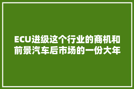 ECU进级这个行业的商机和前景汽车后市场的一份大年夜蛋糕