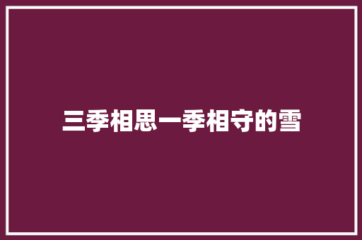三季相思一季相守的雪 休闲娱乐