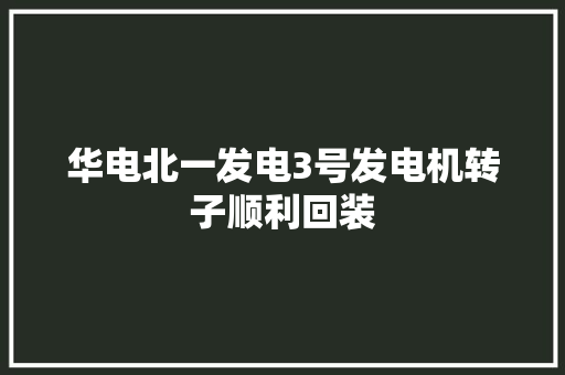 华电北一发电3号发电机转子顺利回装