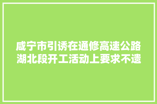 咸宁市引诱在通修高速公路湖北段开工活动上要求不遗余力推进项目培植