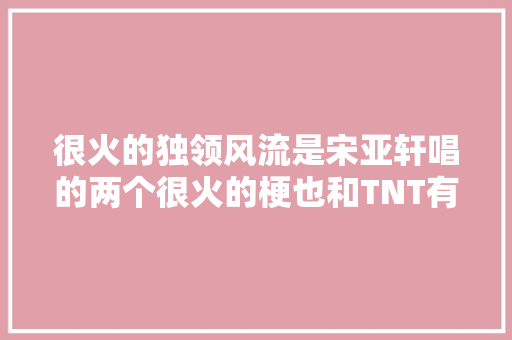 很火的独领风流是宋亚轩唱的两个很火的梗也和TNT有关