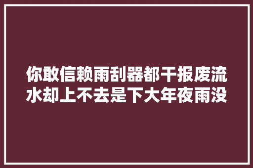 你敢信赖雨刮器都干报废流水却上不去是下大年夜雨没单吗