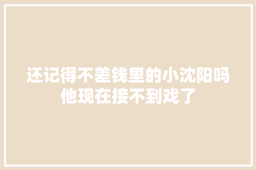 还记得不差钱里的小沈阳吗他现在接不到戏了