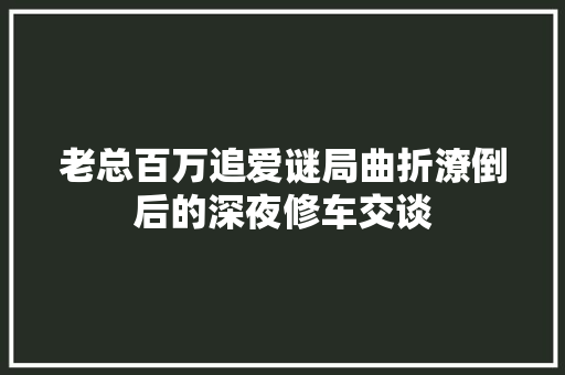 老总百万追爱谜局曲折潦倒后的深夜修车交谈