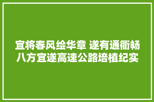 宜将春风绘华章 遂有通衢畅八方宜遂高速公路培植纪实
