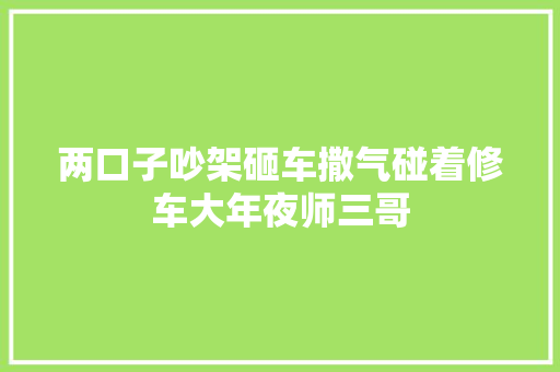 两口子吵架砸车撒气碰着修车大年夜师三哥