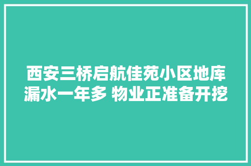 西安三桥启航佳苑小区地库漏水一年多 物业正准备开挖
