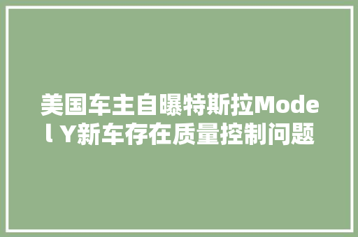 美国车主自曝特斯拉Model Y新车存在质量控制问题