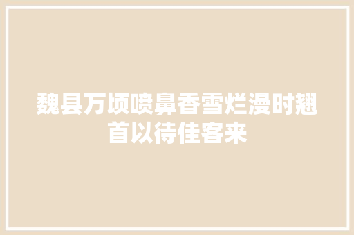 魏县万顷喷鼻香雪烂漫时翘首以待佳客来