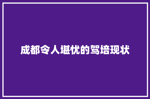 成都令人堪忧的驾培现状