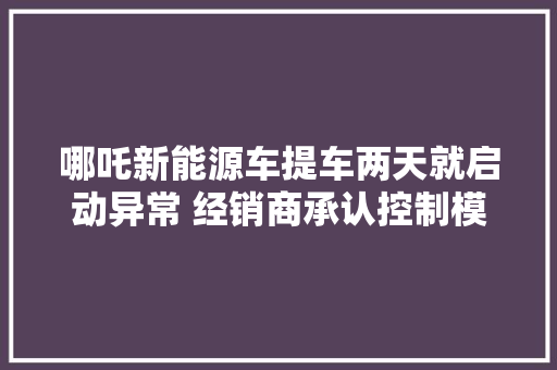 哪吒新能源车提车两天就启动异常 经销商承认控制模块松动