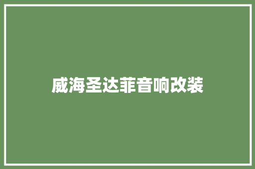 威海圣达菲音响改装