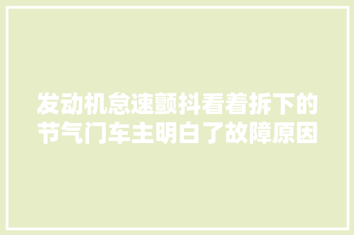 发动机怠速颤抖看着拆下的节气门车主明白了故障原因