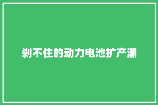 刹不住的动力电池扩产潮