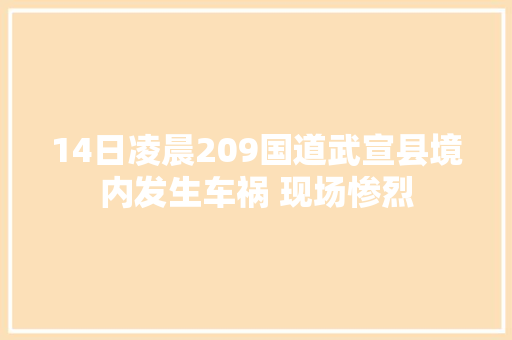 14日凌晨209国道武宣县境内发生车祸 现场惨烈