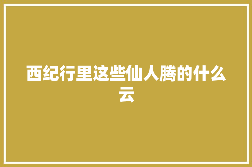 西纪行里这些仙人腾的什么云