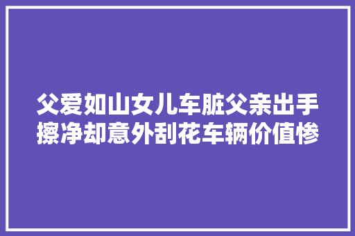 父爱如山女儿车脏父亲出手擦净却意外刮花车辆价值惨重
