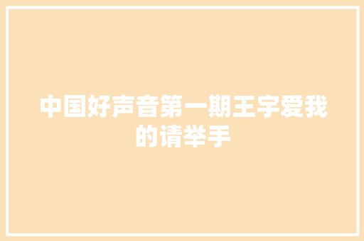 中国好声音第一期王宇爱我的请举手 休闲娱乐