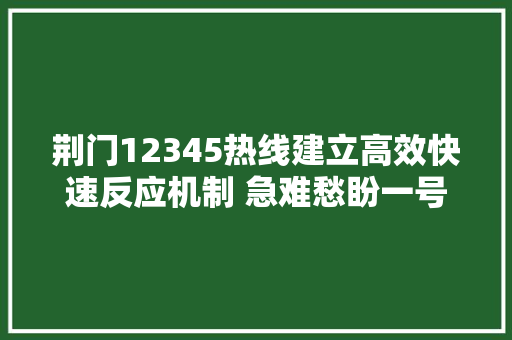荆门12345热线建立高效快速反应机制 急难愁盼一号搞定