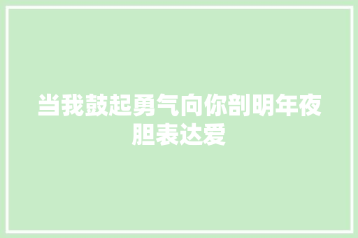 当我鼓起勇气向你剖明年夜胆表达爱
