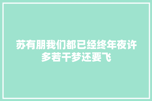 苏有朋我们都已经终年夜许多若干梦还要飞