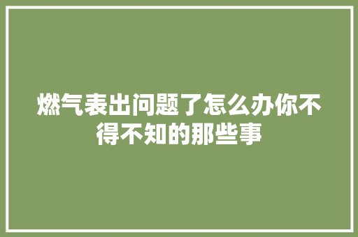 燃气表出问题了怎么办你不得不知的那些事 汽车知识