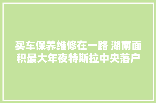 买车保养维修在一路 湖南面积最大年夜特斯拉中央落户星沙