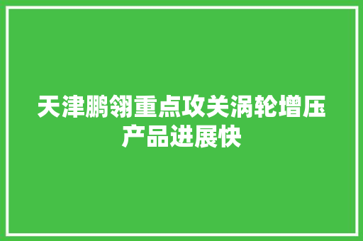 天津鹏翎重点攻关涡轮增压产品进展快