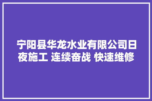 宁阳县华龙水业有限公司日夜施工 连续奋战 快速维修完毕