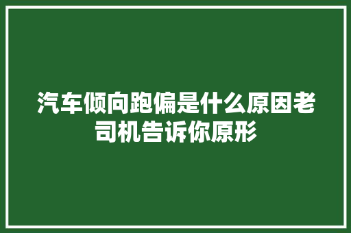 汽车倾向跑偏是什么原因老司机告诉你原形