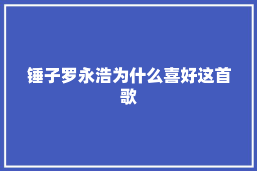 锤子罗永浩为什么喜好这首歌