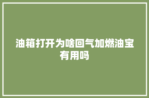 油箱打开为啥回气加燃油宝有用吗
