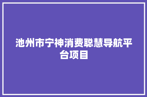 池州市宁神消费聪慧导航平台项目