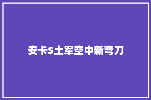 安卡S土军空中新弯刀