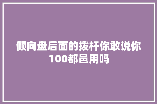 倾向盘后面的拨杆你敢说你100都邑用吗