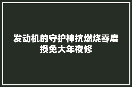 发动机的守护神抗燃烧零磨损免大年夜修