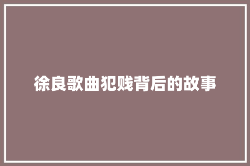 徐良歌曲犯贱背后的故事