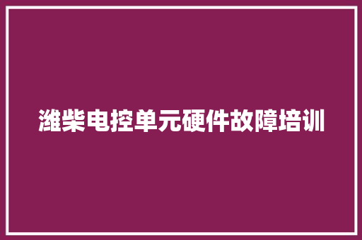 潍柴电控单元硬件故障培训