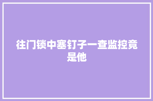 往门锁中塞钉子一查监控竟是他 汽车知识