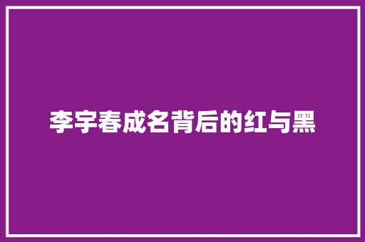 李宇春成名背后的红与黑