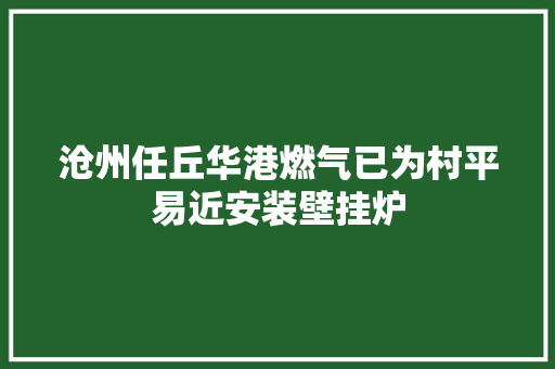 沧州任丘华港燃气已为村平易近安装壁挂炉