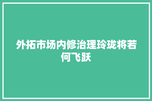外拓市场内修治理玲珑将若何飞跃