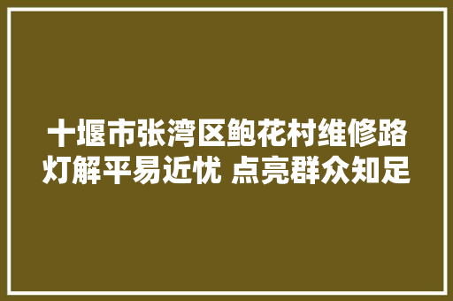 十堰市张湾区鲍花村维修路灯解平易近忧 点亮群众知足灯