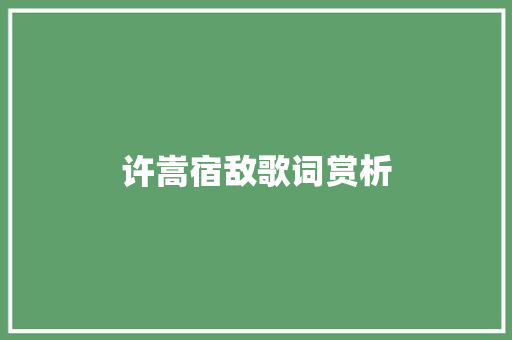 许嵩宿敌歌词赏析