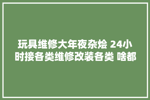玩具维修大年夜杂烩 24小时接各类维修改装各类 啥都行 卡面来打