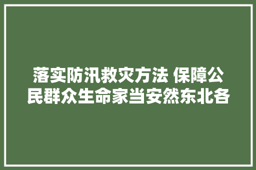 落实防汛救灾方法 保障公民群众生命家当安然东北各界抗击洪灾一线见闻