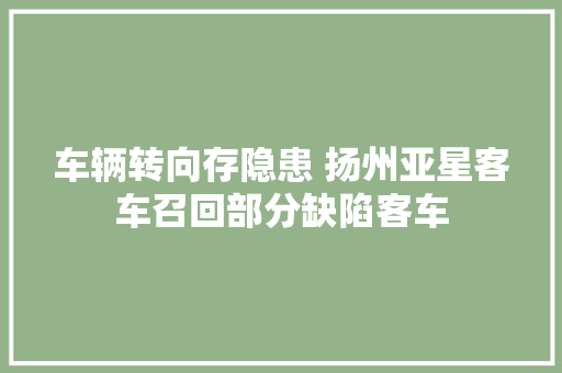 车辆转向存隐患 扬州亚星客车召回部分缺陷客车