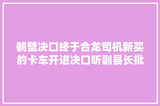 鹤壁决口终于合龙司机新买的卡车开进决口听副县长批示跳车