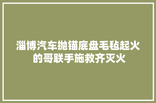 淄博汽车抛锚底盘毛毡起火 的哥联手施救齐灭火